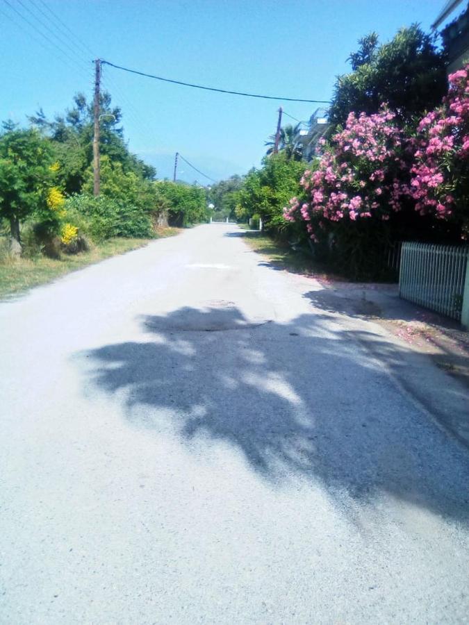 Little Beauty - Happyhostgr - In Platamonas Daire Dış mekan fotoğraf